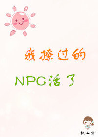 ���ù���NPC����