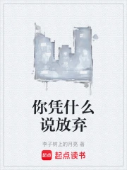 ��ƾʲô˵����