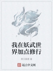 ������������ӵ�����