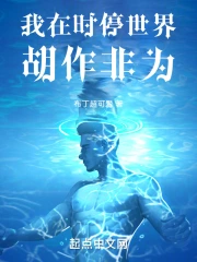 ����ʱͣ���������Ϊ