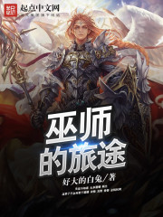 ��ʦ����;