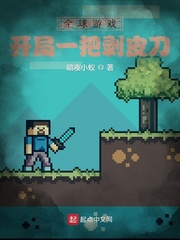 ȫ����Ϸ������һ�Ѱ�Ƥ��