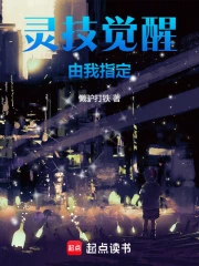 �鼼��������ָ��