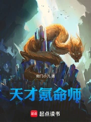 ������ʦ