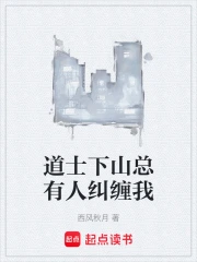 ��ʿ��ɽ�����˾�����