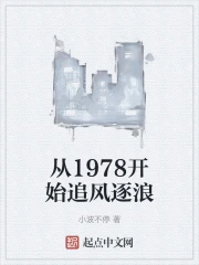 ��1978��ʼ׷������