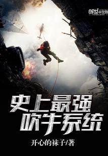 ʷ����ǿ��ţϵͳ