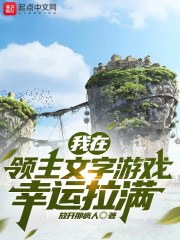 ��������������Ϸ��������