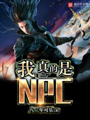 �������NPC