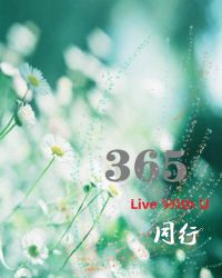 ����ͬ�е�365��