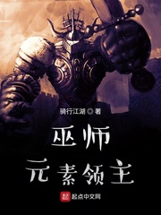 ��ʦ��Ԫ������