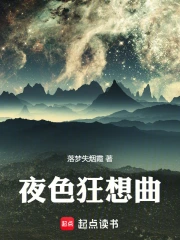 ҹɫ������