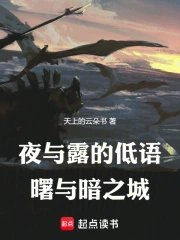 ҹ��¶�ĵ�����밵֮��