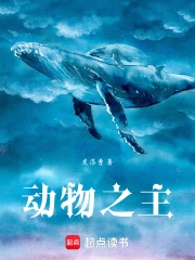 ����֮��