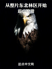 ����Ƭ����������ʼ��ɽ����