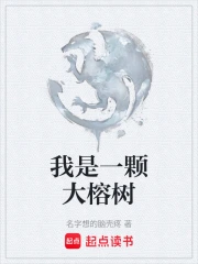 ����һ�Ŵ�����