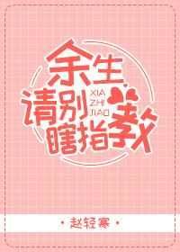 �������Ϲָ��