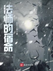 ��ʦ������