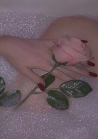 �����������Ķ�ƪ�ϼ�(ȫ��)