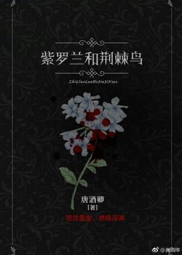 �������;�����(ȫ��)