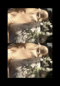 ���ĵ����ֲᣨ��С��x�ܼң�ȫ��