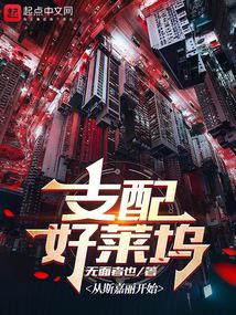 ֧�������