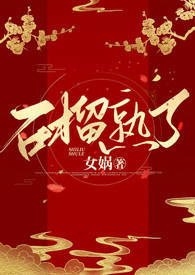 ʯ������(ȫ��)