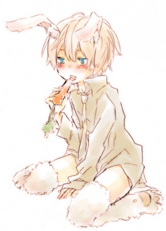 �����С����˵���ͷ�(ȫ��)