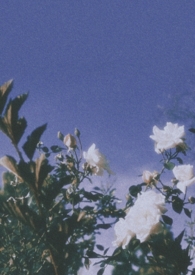 �κ�ϰ��ʦ����