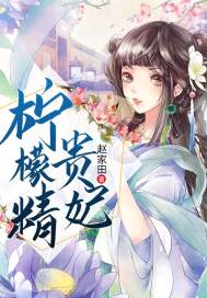 ���ʾ�����