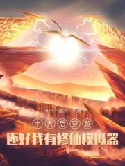 ʮ���Խ��������������ģ����