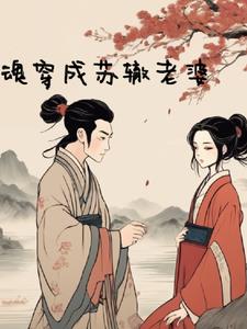 �괩����������