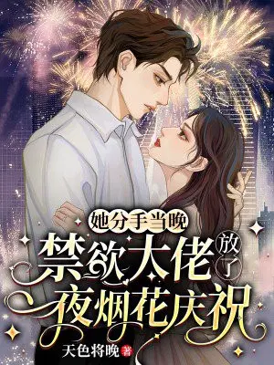 �����ֵ������������з���һҹ�̻���ף