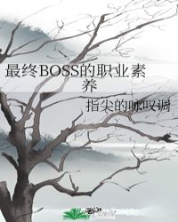 ����BOSS��ְҵ����