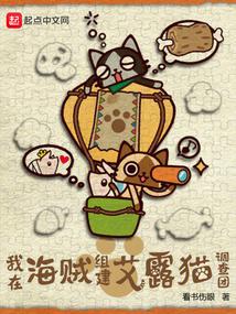 ���ں����齨��¶è������