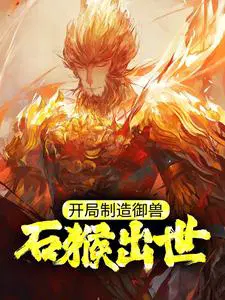 �����������ޣ�ʯ�������