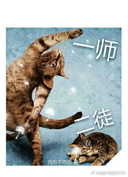 ʦ������������