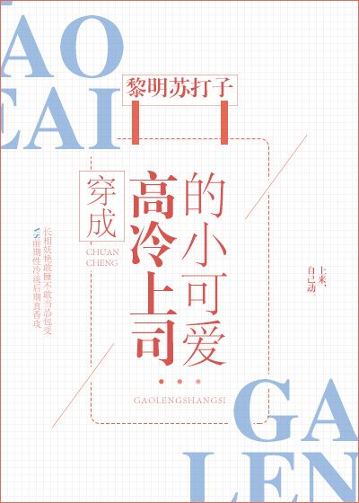 ���ɸ�����˾��С�ɰ�