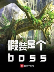 ��װ�Ǹ�boss