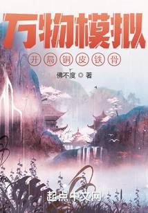 ����ģ�⣺����ͭƤ����