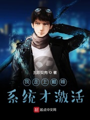 �������۷�ϵͳ�ż���