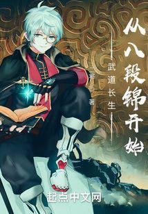 �ִ��������Ӱ˶ν���ʼ