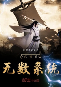 ��ӵ������ϵͳ