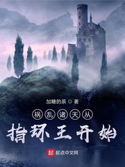 ���������ָ������ʼ