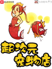 ����Ԫ�����