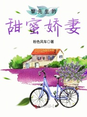 �����������۽���