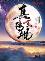 ������˵