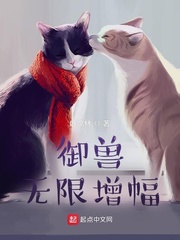 ���ޣ���������