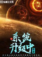 ϵͳ������