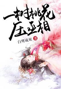 һ���һ�ѹة��